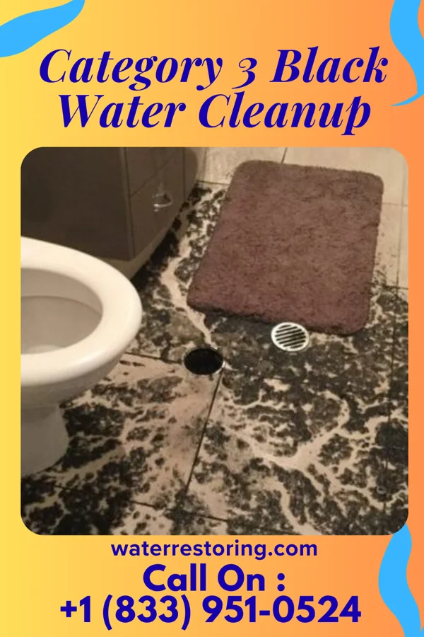 Category 3 Black Water Cleanup in Old Jamestown, MO